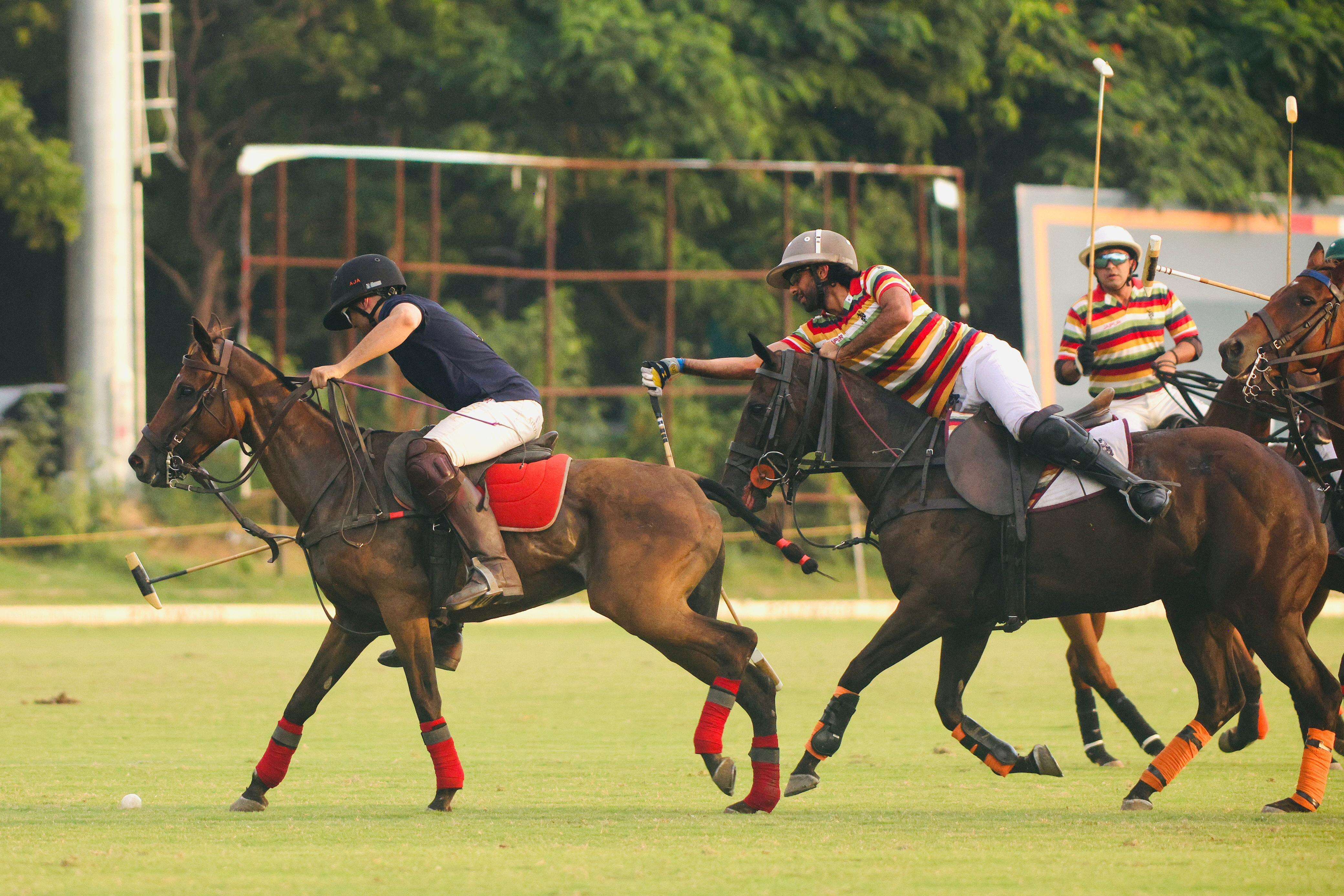 Polo-3.jpg