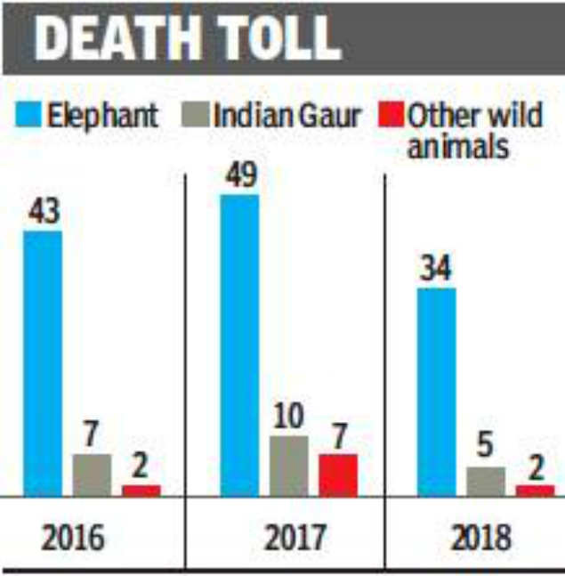 Foresters for holistic plan to check man-animal conflict | Chennai News ...