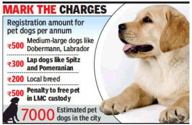 Lucknow Get your dog registered now to avoid detention