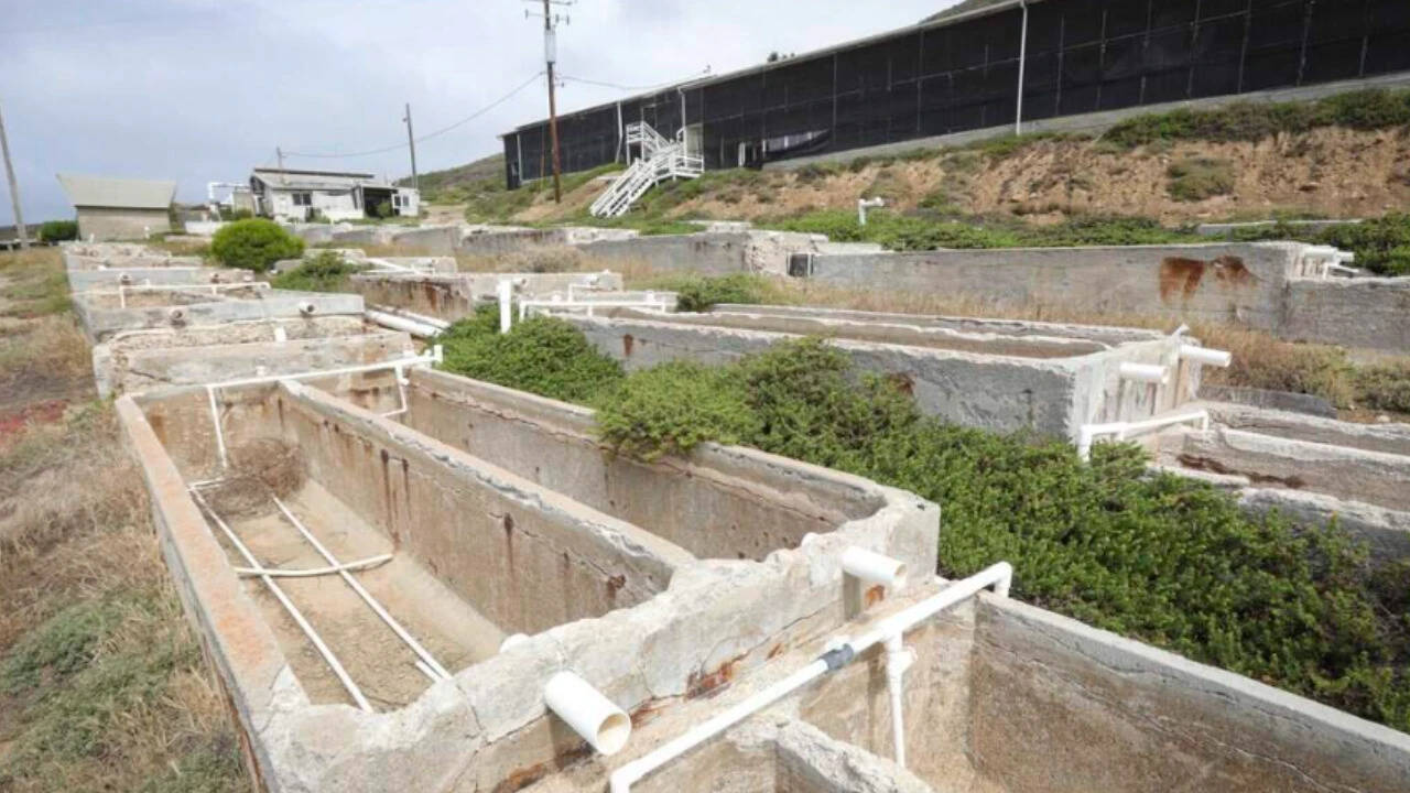 California approved $5 million toward buying 357 coastal acres once home to America's largest abalone farm; the $18 million tribal acquisition could revive aquaculture and restore habitat