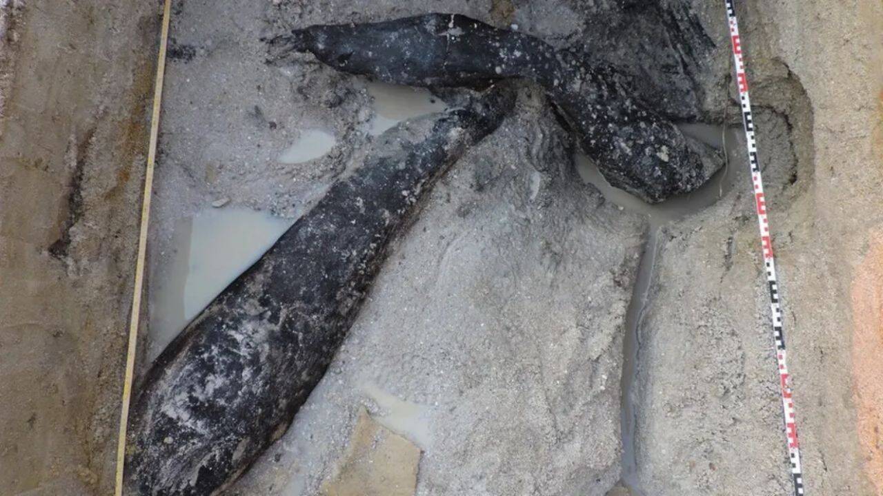 The second excavation brought Clark’s mystery back to life<br>