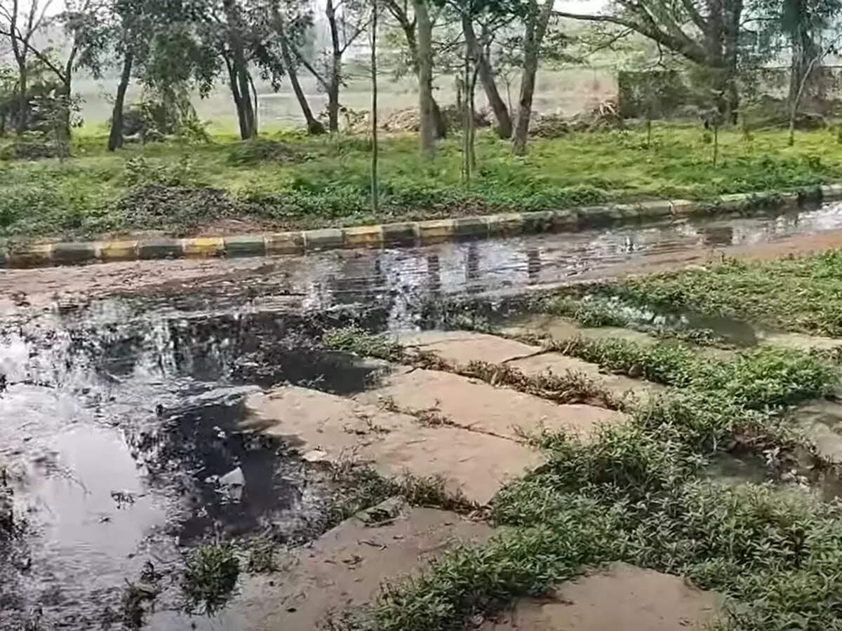 BBMP and KFD Collaborate to Protect Yelahanka Puttenahalli Lake and Bird Conservation Reserve - Vimarsana News