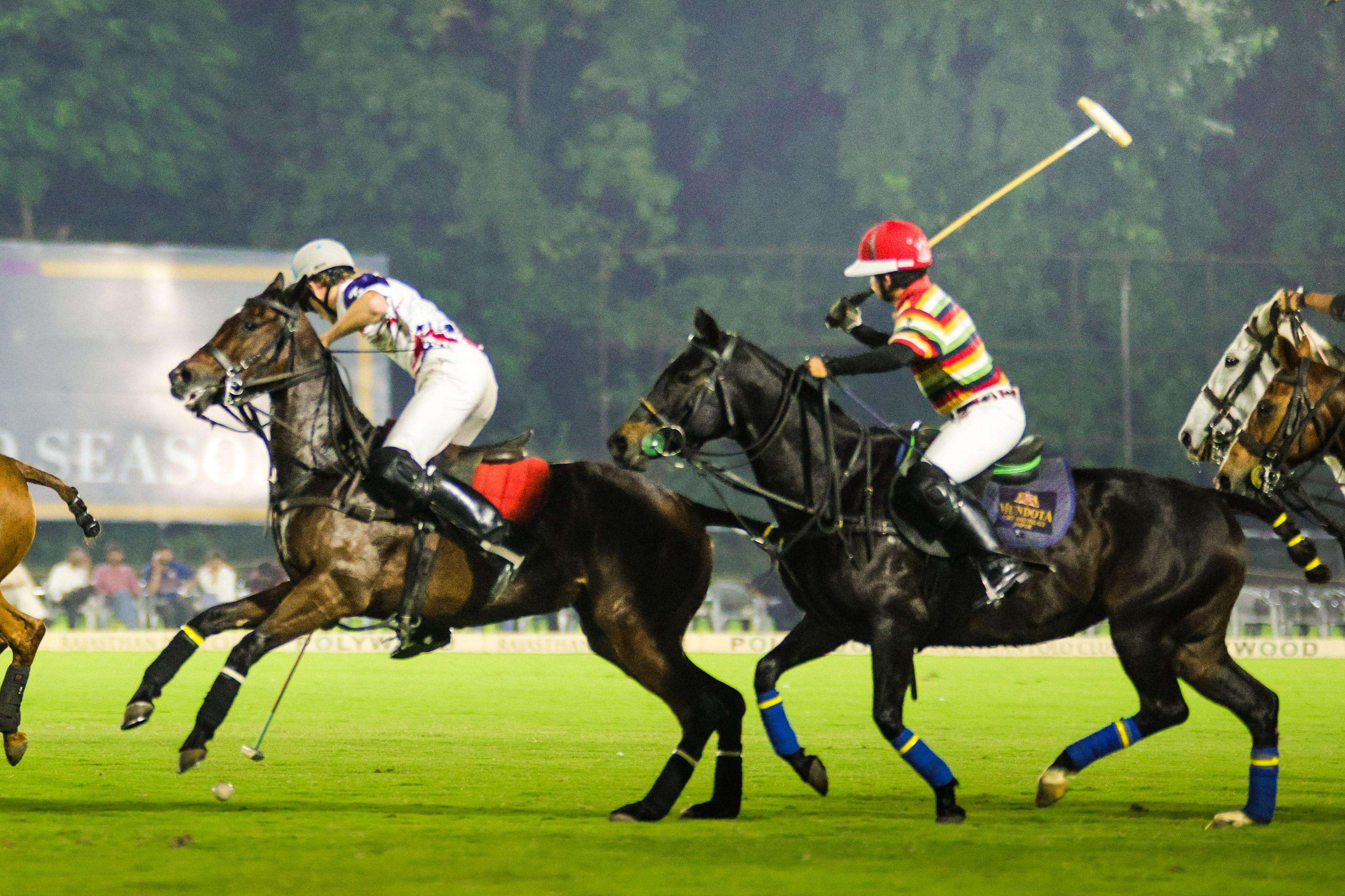 polo-4.jpg