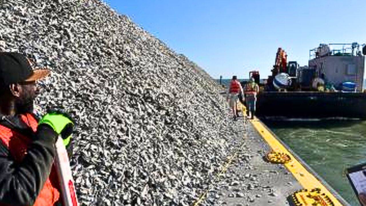 How did Harris Creek become a major oyster restoration site<br>