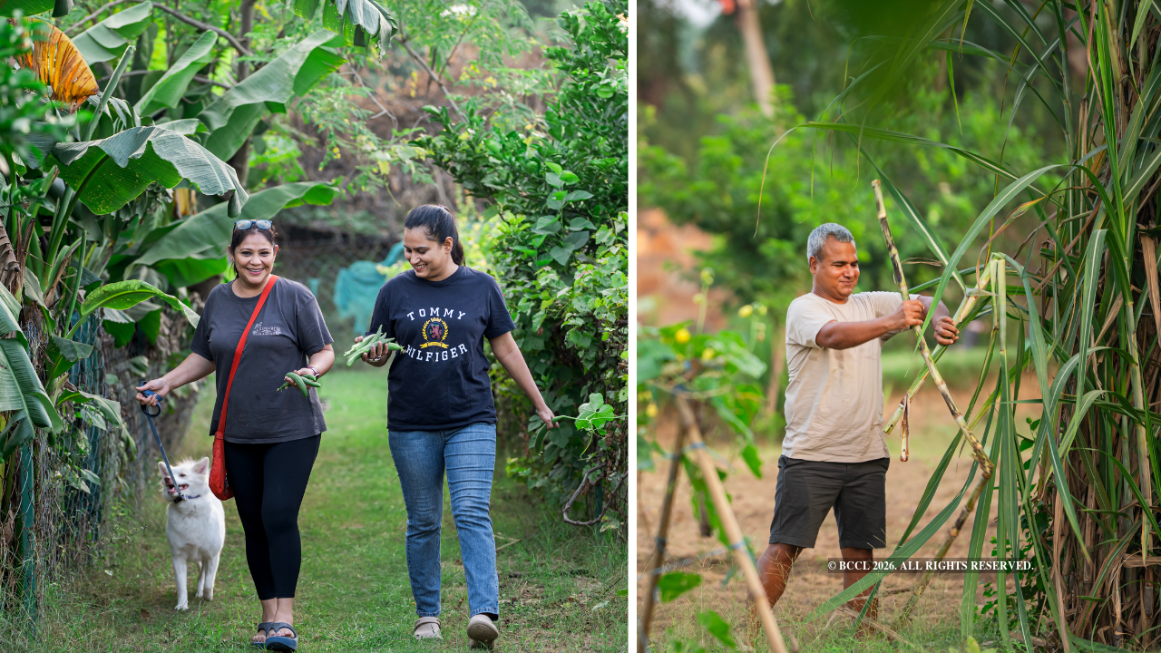 Kapil says urban farming appeals to corporate professionals seeking relief from work stress