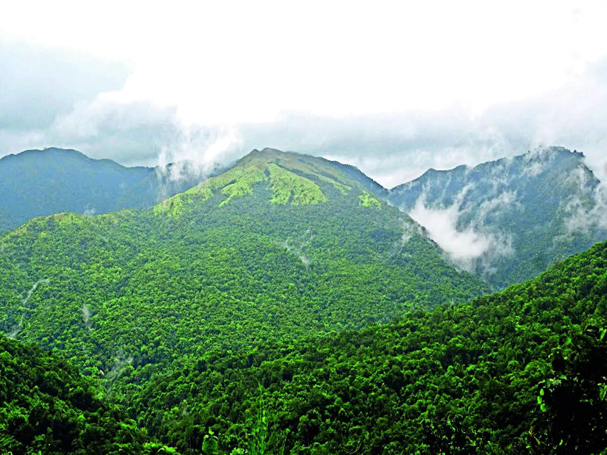 NCBS to establish field station for biodiversity monitoring - Vimarsana News