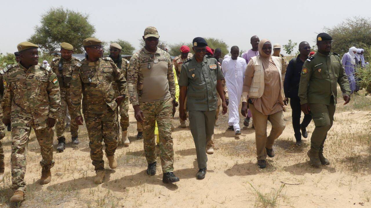 Why were North African ostriches released into the wild in Niger<br>
