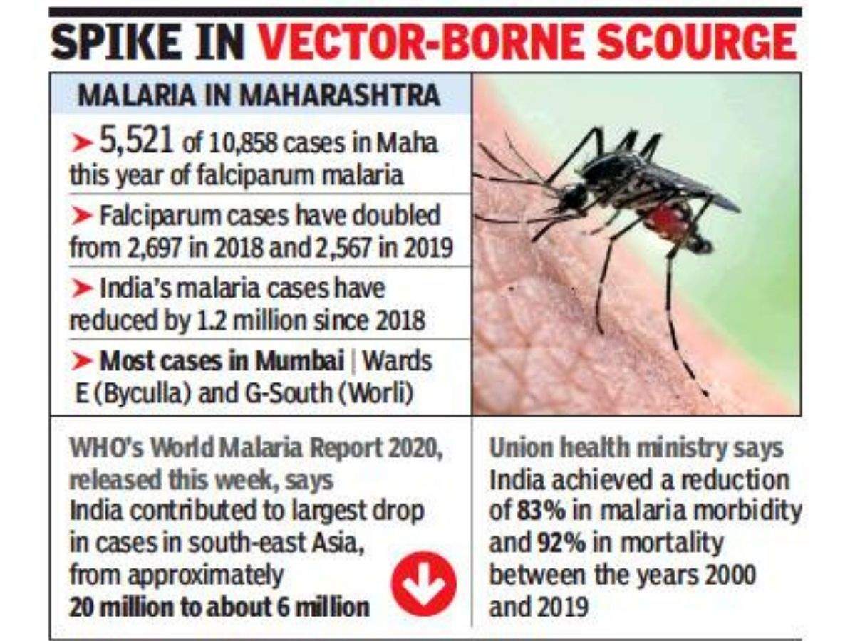 Maharashtra Bucks 5-year Trend, Malaria Cases Up 22% | Mumbai News ...