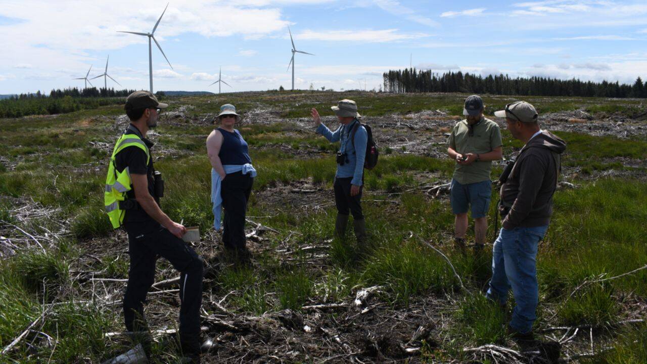 How has peatland restoration changed water levels and vegetation in South Wales<br>