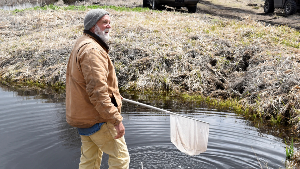 Why an Oregon farmer turned 70 acres of his barley farm into a wetland<br>