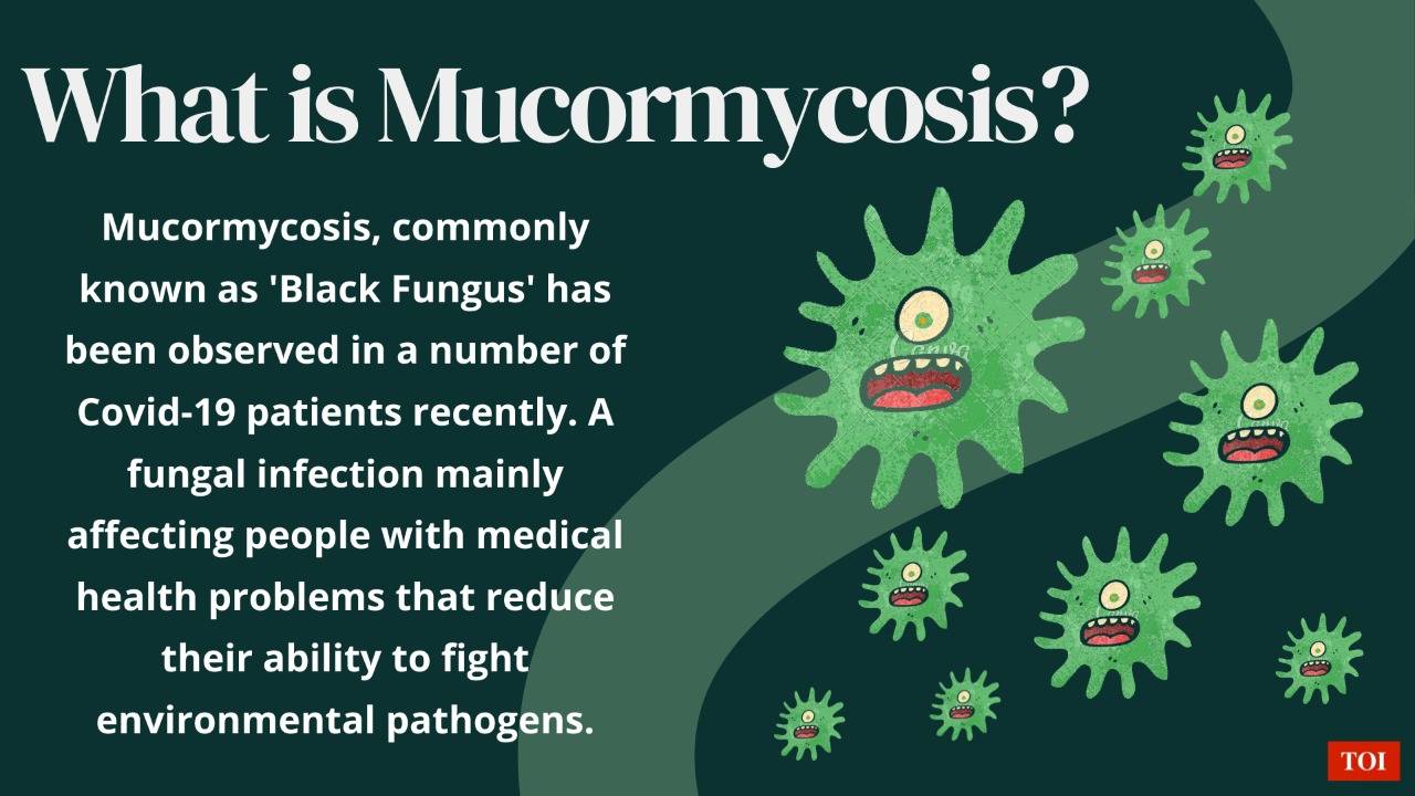 Black Fungus Surgeons Find A Way To Make Mucor Care 100 Times Cheaper India News Times Of India