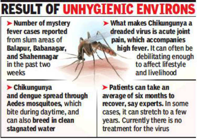 Chikungunya Cases Up Tenfold In A Year | Hyderabad News - Times Of India