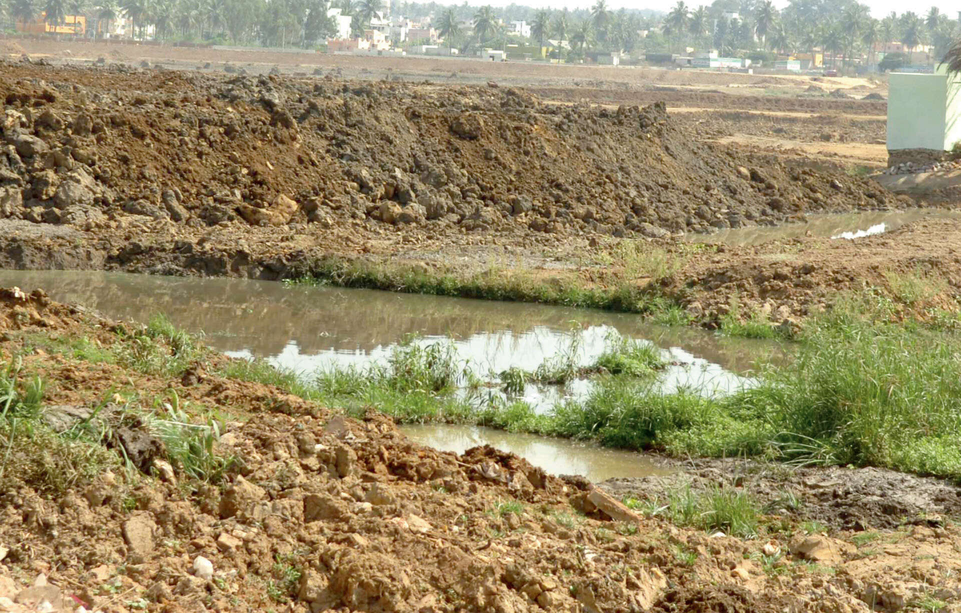 Govt orders survey of buffer zones