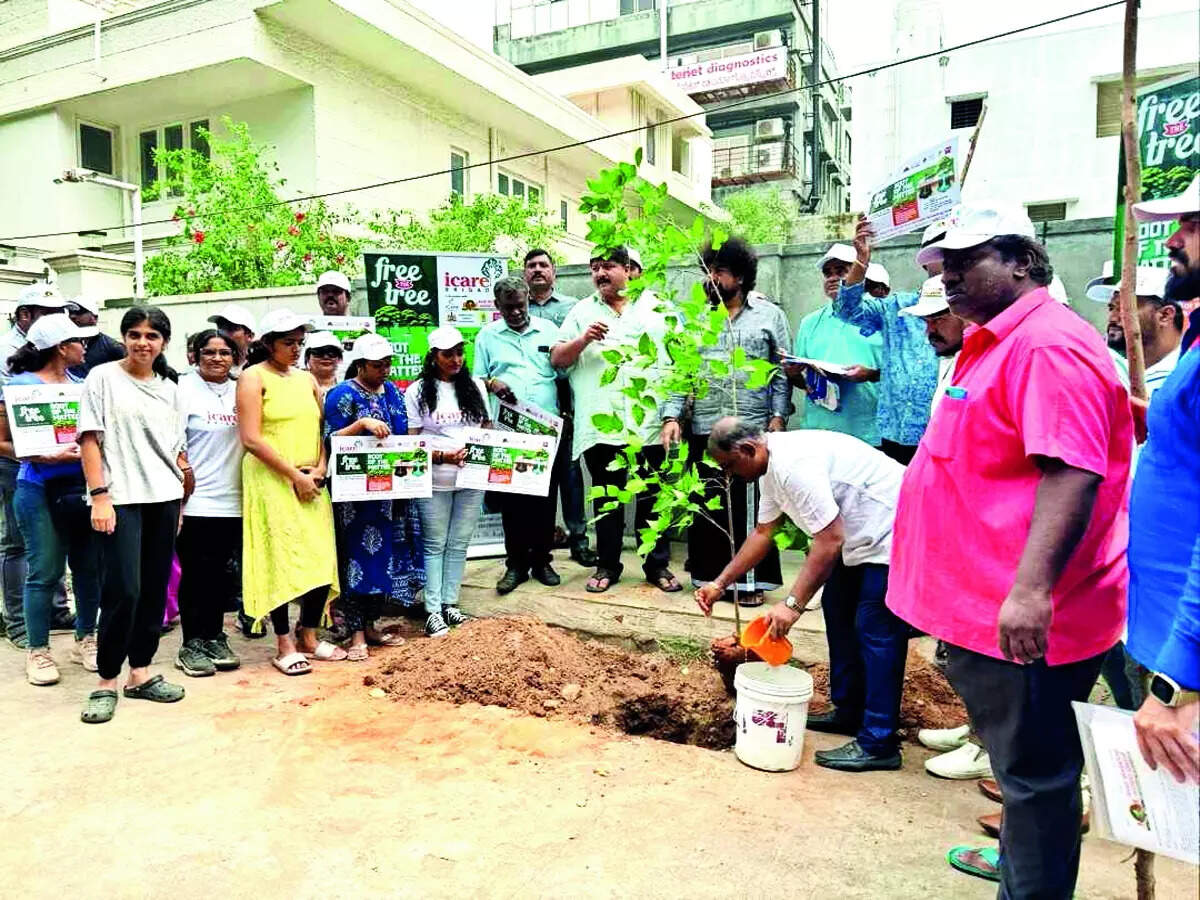Free the tree: Green initiative to nurture city's environment - Vimarsana News