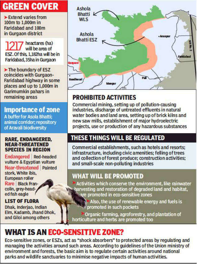 Haryana Government moots buffer zone to save Asola sanctuary | Gurgaon ...