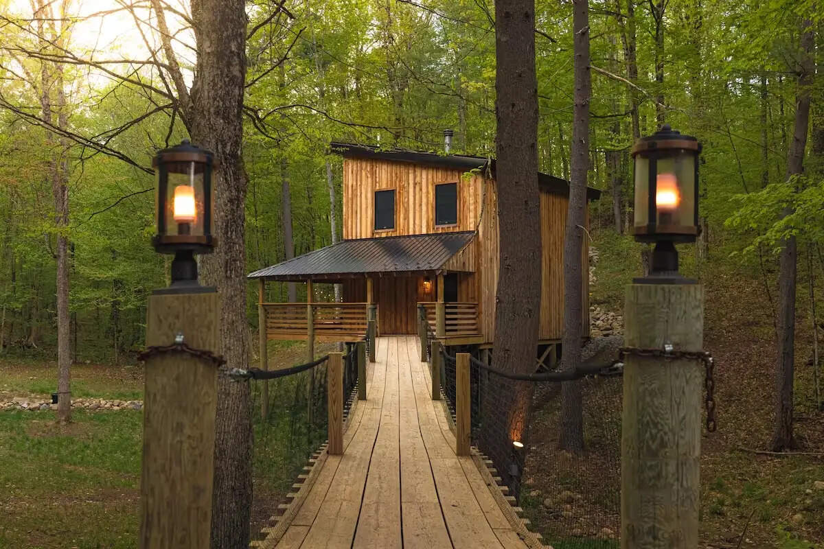 Evergreen cabins