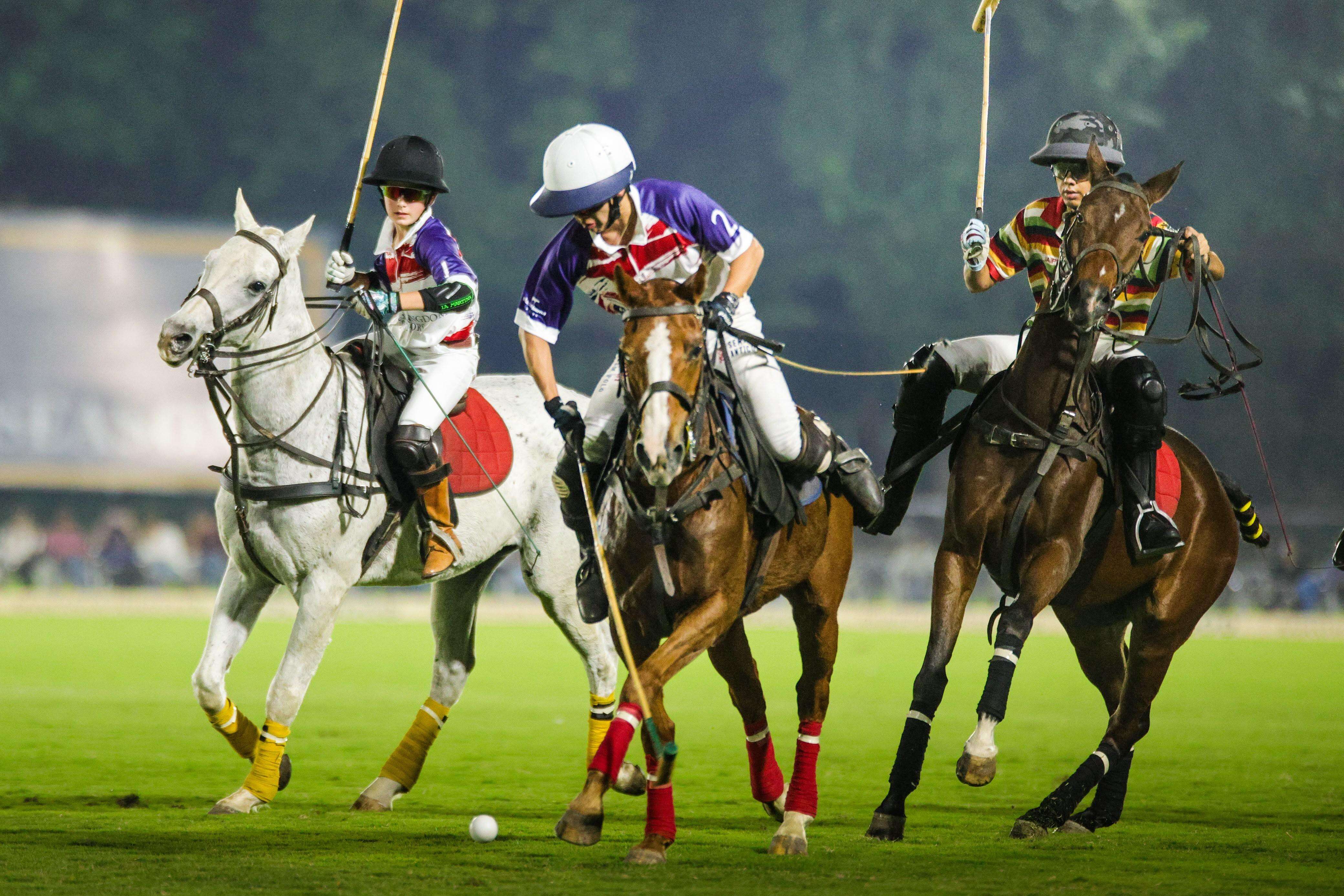polo-3.jpg