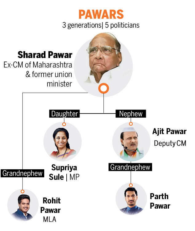 Maharashtra Politics: All you need to know about Thackeray and Pawar ...