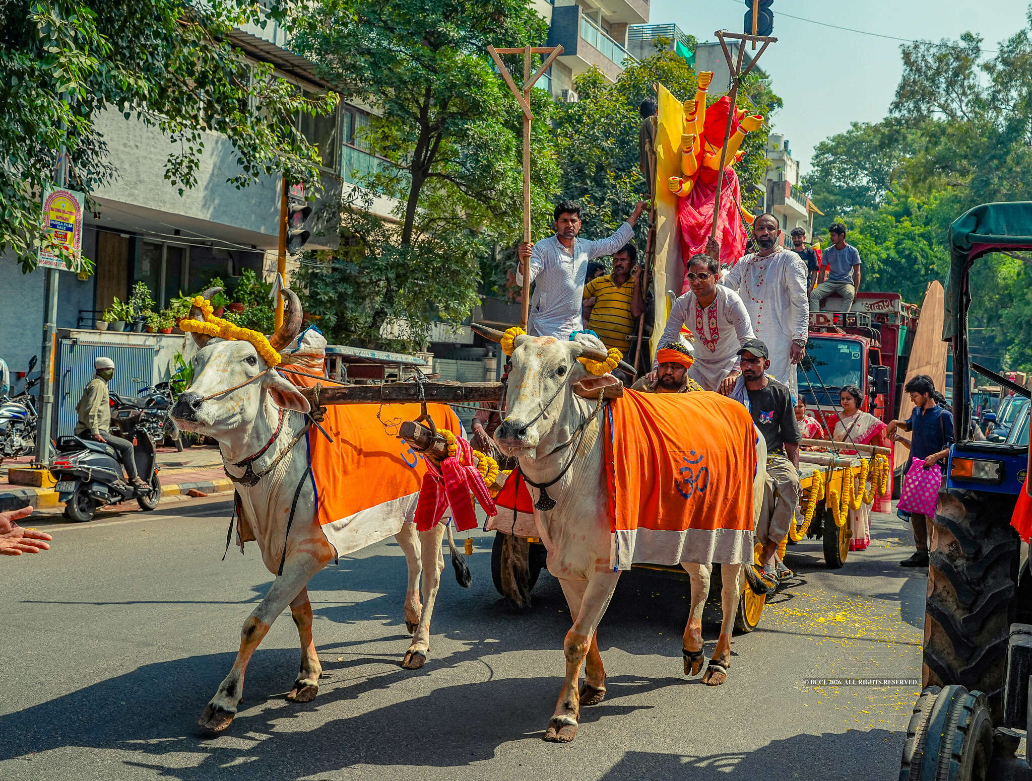The idol’s arrival by bullock cart revived an old tradition