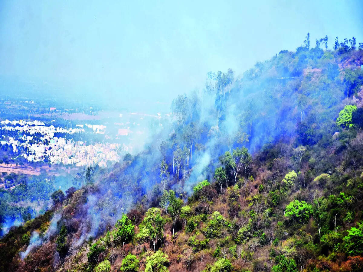 Low flame: 52.8% dip in fire incidents this year - Vimarsana News