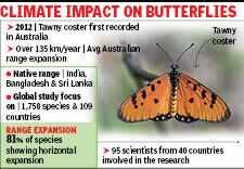 butterfly box.jpg