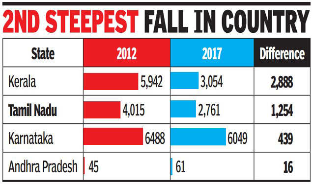Jumbo Fall Population Of Tn Elephants Slumps 30 In 5 Years Chennai News Times Of India