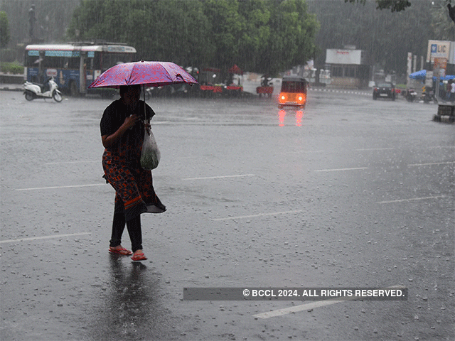 Odisha likely to experience heavy rain in next 24 hours