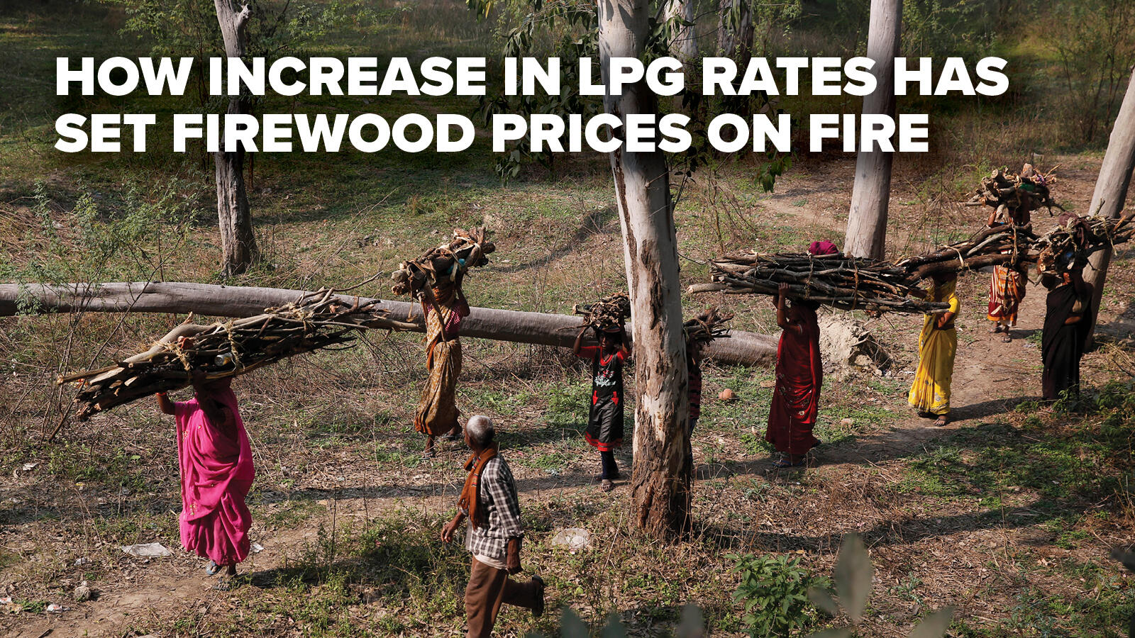 How increase in LPG rates has set firewood prices on fire Times of India