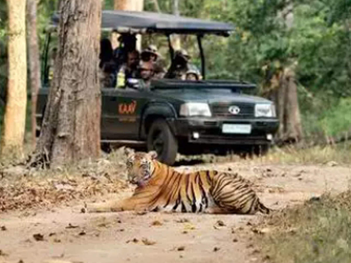 nagarahole tiger reserve safari booking