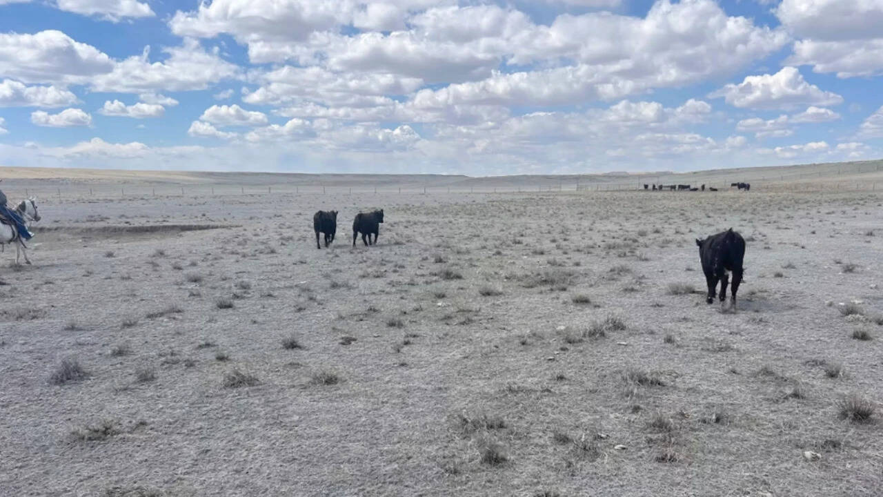The part of the Salo ranch where wind turbines are planned