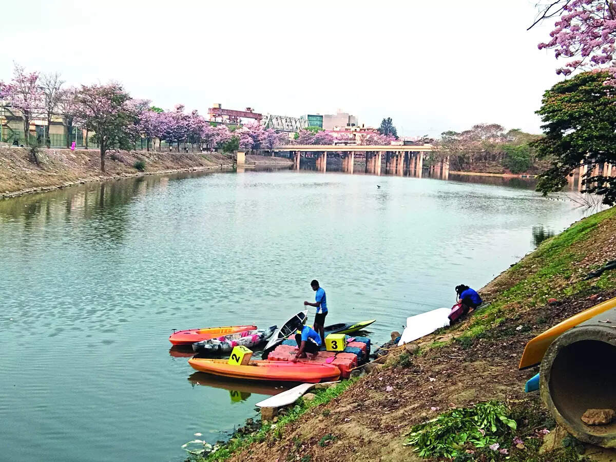Weeds to water sports