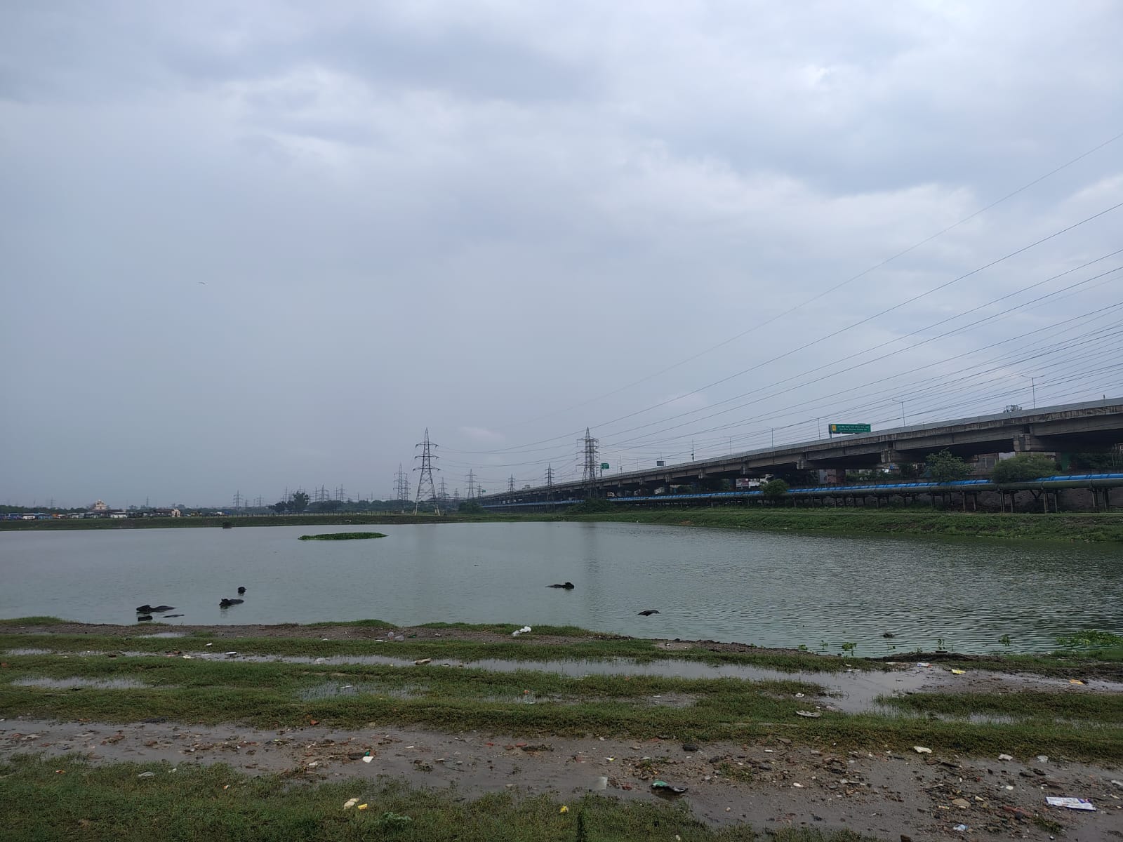 Delhi Yamuna Floodplain