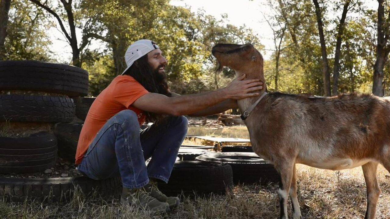 Image credit: Austin Farm Sanctuary Facebook