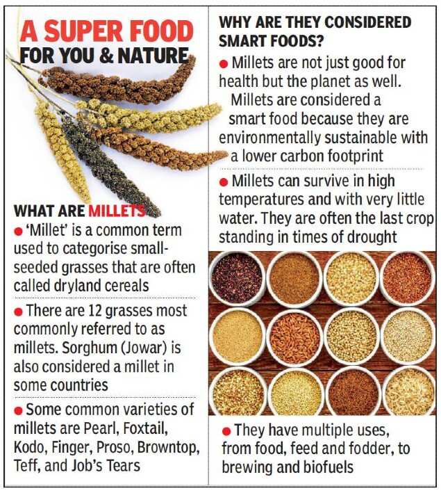 Hyderabad Milletbased diet lowers risk of type2 diabetes, says