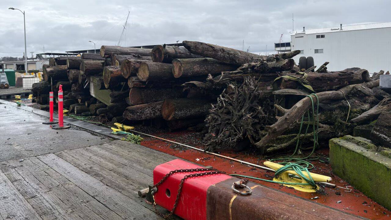 Up to 900 tons of driftwood are removed each year by Army Corps