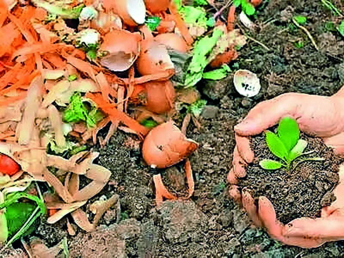 Community-driven composting effort powers a greener HSR