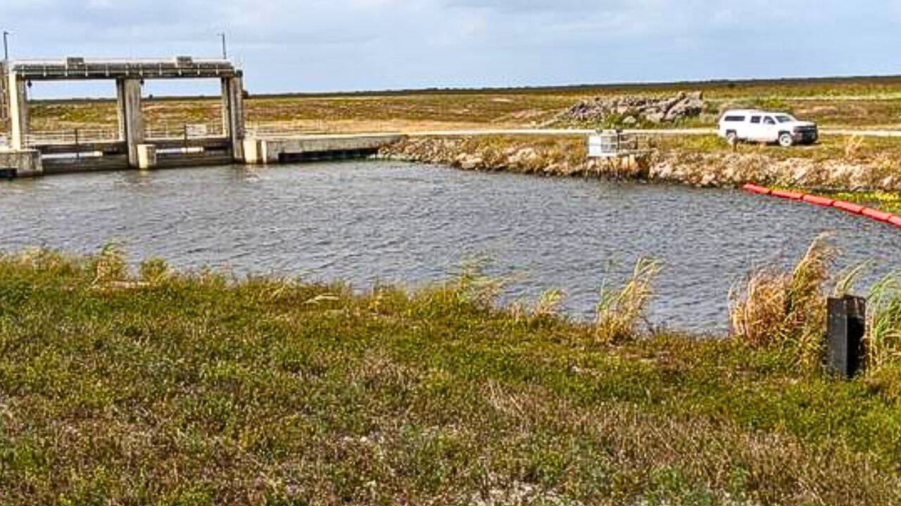 How are scientists using eDNA to track Burmese pythons<br>
