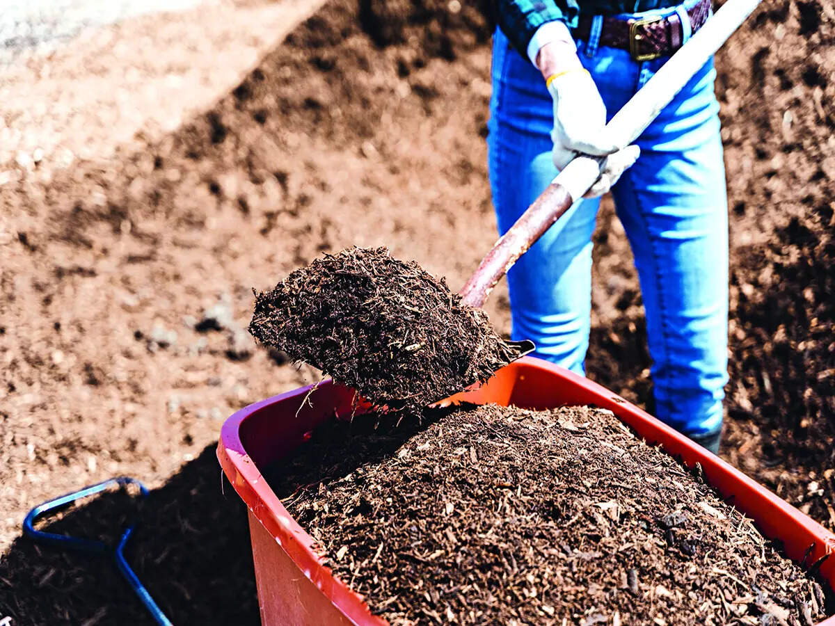 Wet waste idea Bengalureans make their own compost too