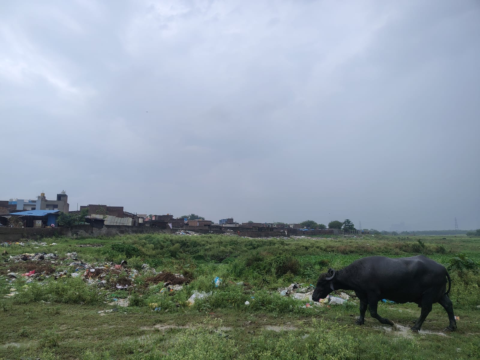 Houses built around Delhi Yamuna Floodplain