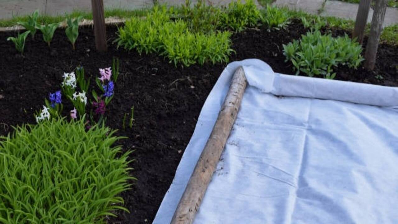 Old newspaper isn't just for wrapping<br>