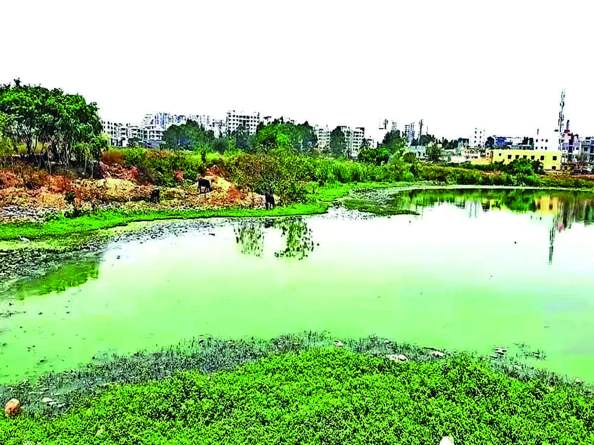 New Fencing Plans Proposed to Combat Illegal Dumping in Doddaballapura Lakes