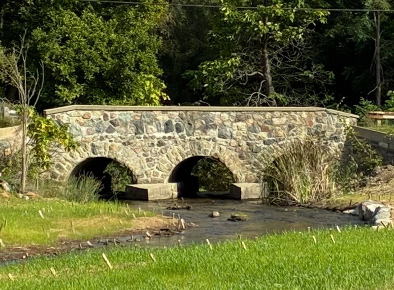 The River Raisin project aims to improve fish movement and restore native vegetation in Brooklyn, Michigan.