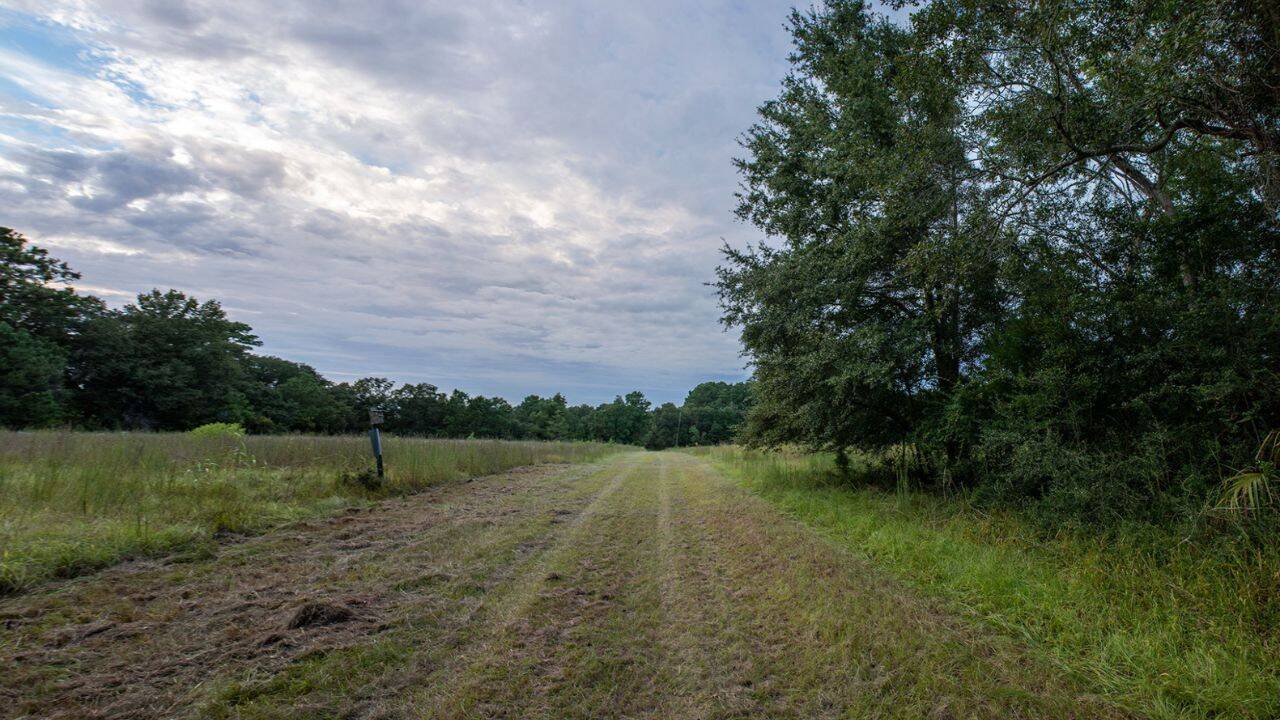 Dill Sanctuary conservation deal will permanently protect James Island