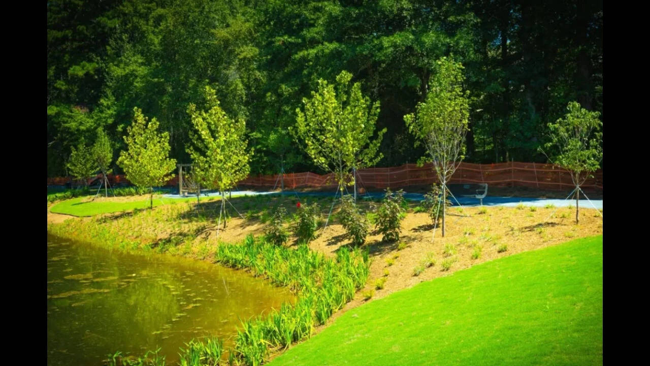 New landscaping and a restored trail loop now surround the pond
