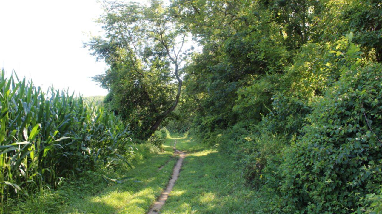 National Park Service proposes rule to allow bicycle use on designated trails