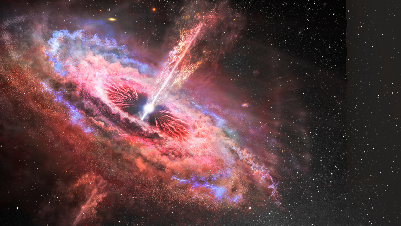 Black hole in the universe