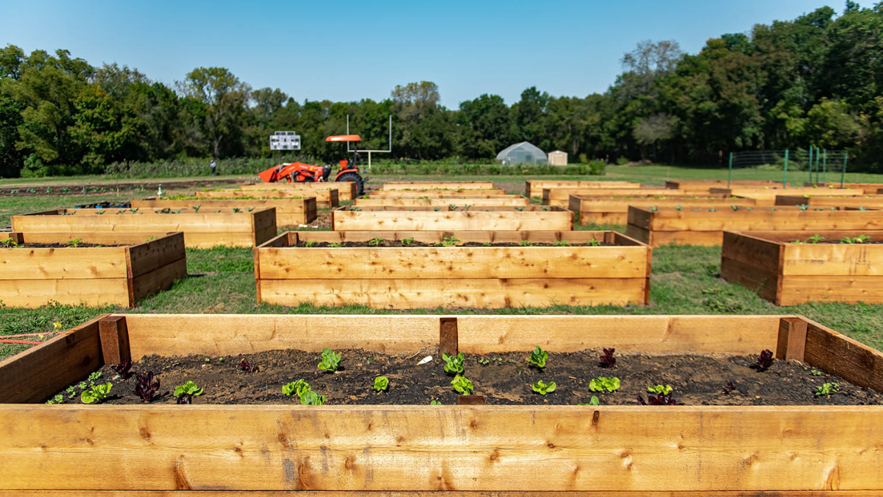 A few training beds turned into the entire field<br>