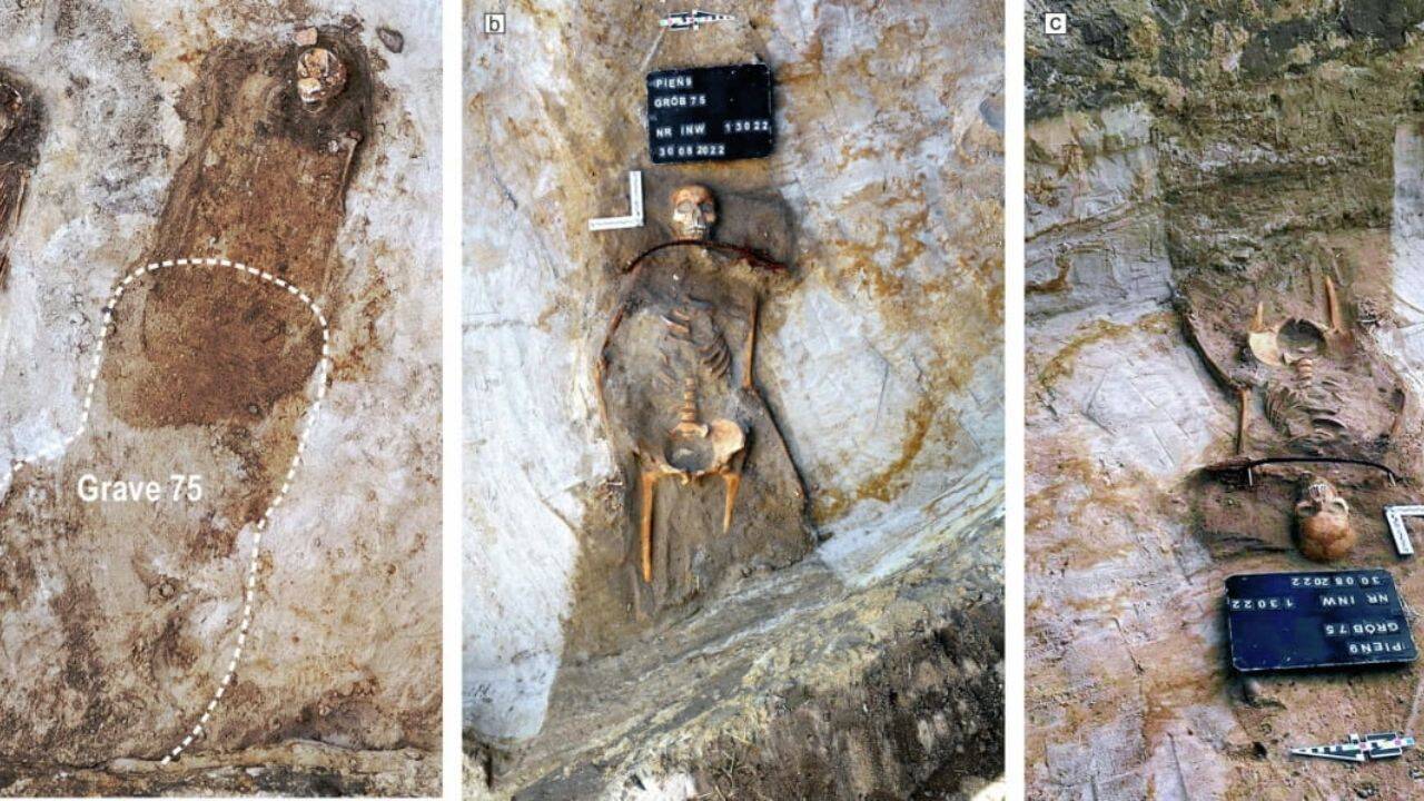 Woman’s teeth and bones reveal clues about her early life<br>