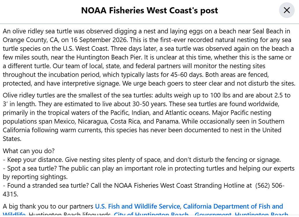 Officials have fenced off the area and will monitor the eggs for 45 to 60 days while urging beachgoers to maintain distance.