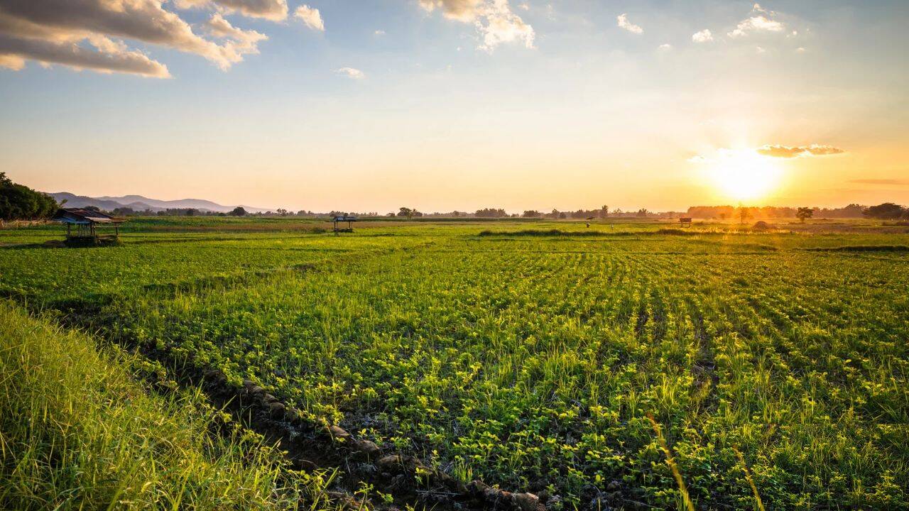 The bigger lesson behind his farming model